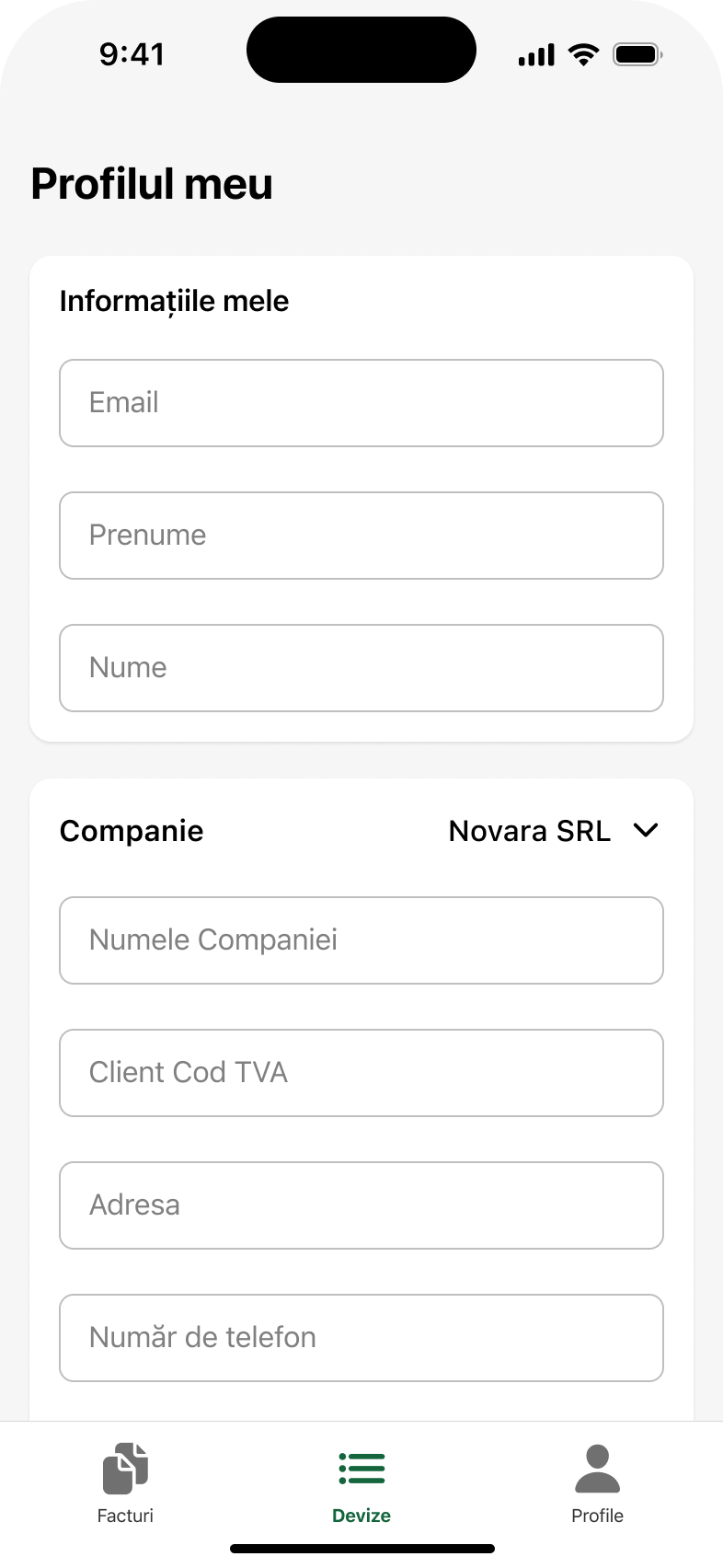 UI/UX design pentru profilul companiei într-o aplicație de facturare electronică